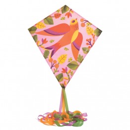 Leteći zmaj - Ptica