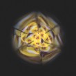 Dječji cvjetni kaleidoskop - Šareni cvjetić – slika 6